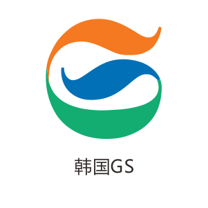 大众帕萨特六(图1)